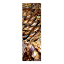 Pine Cones, Bookmark business cards