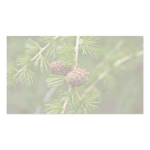 Pine Cones Business Card Templates (back side)