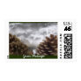 Pine Cones Collage - Cust...
