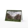 Pine Cones Collage - Seas...