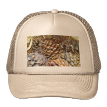 Pine Cones, Hat