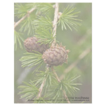 Pine Cones Customized Letterhead