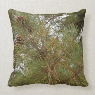 Pine Cones on Tree Between Redwood Trees Pillows