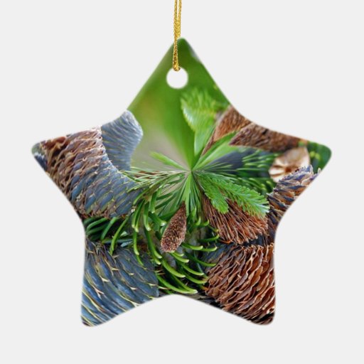 pine cones christmas ornament pine cones christmas ornament
