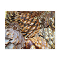 Pine Cones Postcard by dtp455 Pine Cones Postcard