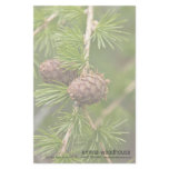 Pine Cones stationery
