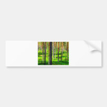 Pine forest bumper stickers