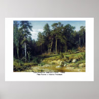 Pine Forest in Viatka Province Posters