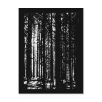 pine forest postcards