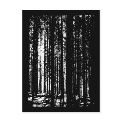 pine forest post card by studiomoth