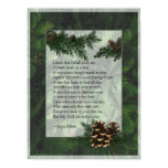 Pine Forest Trees Poster Print