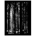 pine forest t-shirts