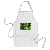 Pine Grosbeak Aprons