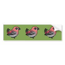 Pine Grosbeak Bumper Stickers