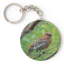 Pine Grosbeak Juvenile Key Chain
