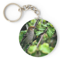 Pine Grosbeak Keychains