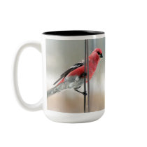 Pine Grosbeak Mug