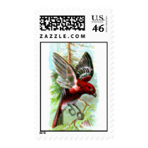 Pine Grosbeak Stamp