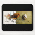 Pine Grossbeak bird collage Mousepad