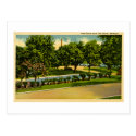 Pine Grove Park, Port Huron, Michigan Post Card