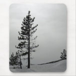 Pine in snow mousepads