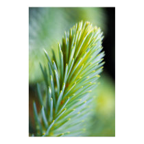 Pine Macro posters