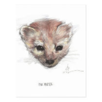 Pine Marten Postcard postcards