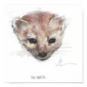 Pine Marten Print
