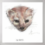 Pine Marten Print
