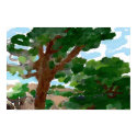 Pine Mesa posters