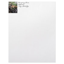 Pine Needles and Cinnamon Custom Letterhead