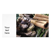 Pine Needles and Cinnamon Personalized Photo Card