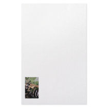Pine Needles and Cinnamon Stationery Design