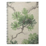 Pine needles and pine cone wallpaper, 1950-1960 notebooks