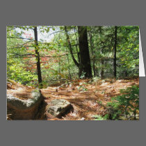 Pine Needles Blank Card cards