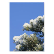 Pine needles business card templates