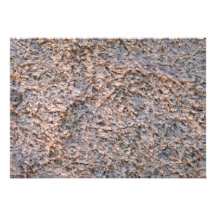 Pine needles in fresh snow custom invites