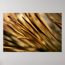 Pine Needles Print