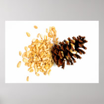 Pine Nuts Posters