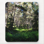 Pine Plantation Mousepad