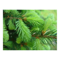 Pine posters