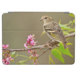 Pine Siskin (Spinus Pinus) Adult Perched iPad Air Cover