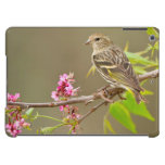 Pine Siskin (Spinus Pinus) Adult Perched iPad Air Covers