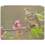 Pine Siskin (Spinus Pinus) Adult Perched iPad Cover