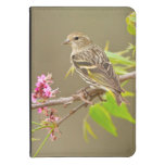 Pine Siskin (Spinus Pinus) Adult Perched Kindle 4 Case