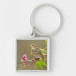 Pine Siskin (Spinus Pinus) Adult Perched Silver-Colored Square Keychain