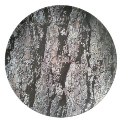 Pine Tree Bark Plate Zazzle