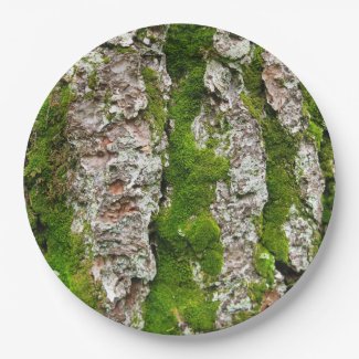 Pine Tree Bark With Moss