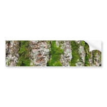 Pine Tree Bark With Moss bumper stickers
