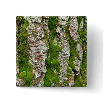 Pine Tree Bark With Moss buttons